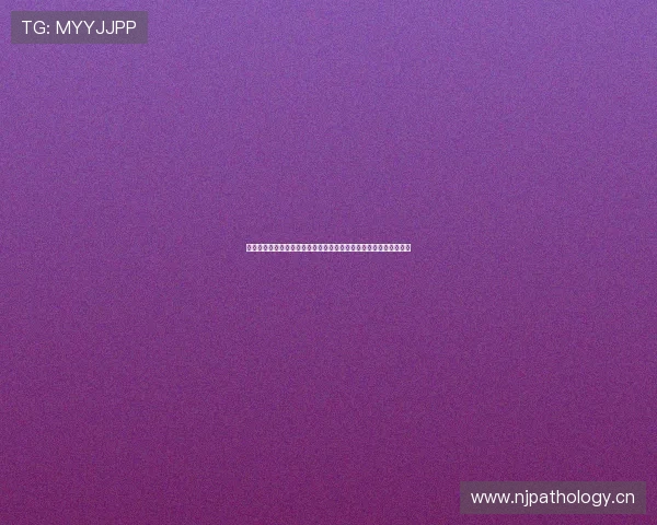 篮球赛事直播全程免费观看精彩呈现，实时跟踪比赛动态与比分更新