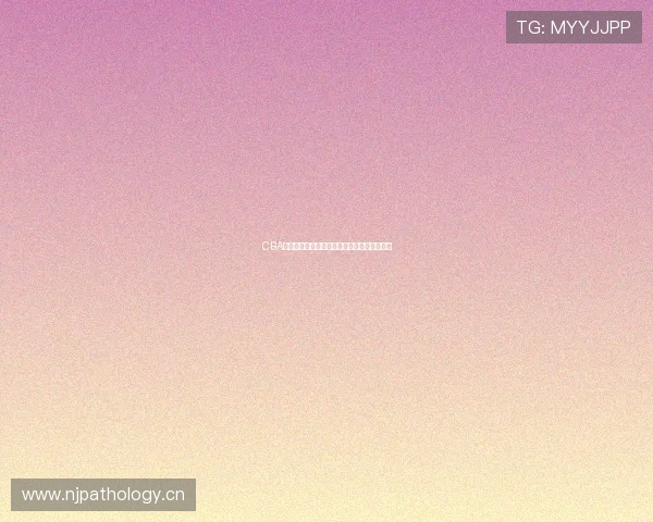 CBA无插件直播网全面升级畅享高清赛事直播体验